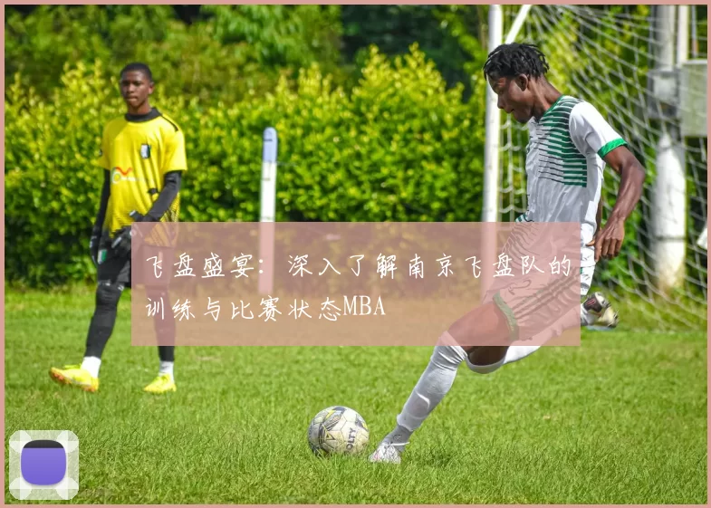 飞盘盛宴：深入了解南京飞盘队的训练与比赛状态MBA