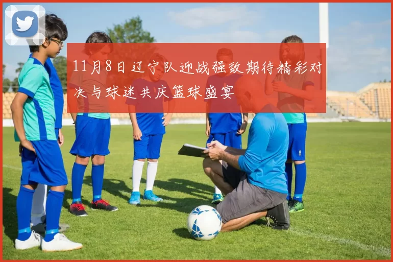 11月8日辽宁队迎战强敌期待精彩对决与球迷共庆篮球盛宴