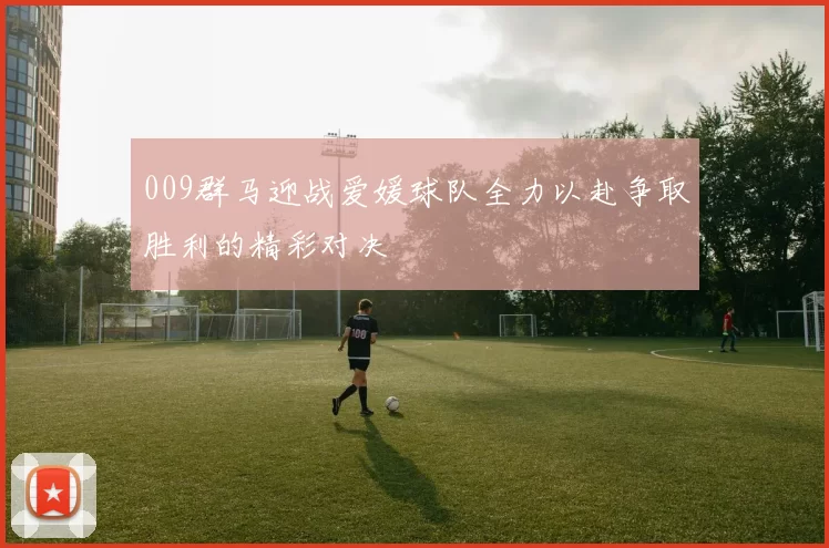 009群马迎战爱媛球队全力以赴争取胜利的精彩对决